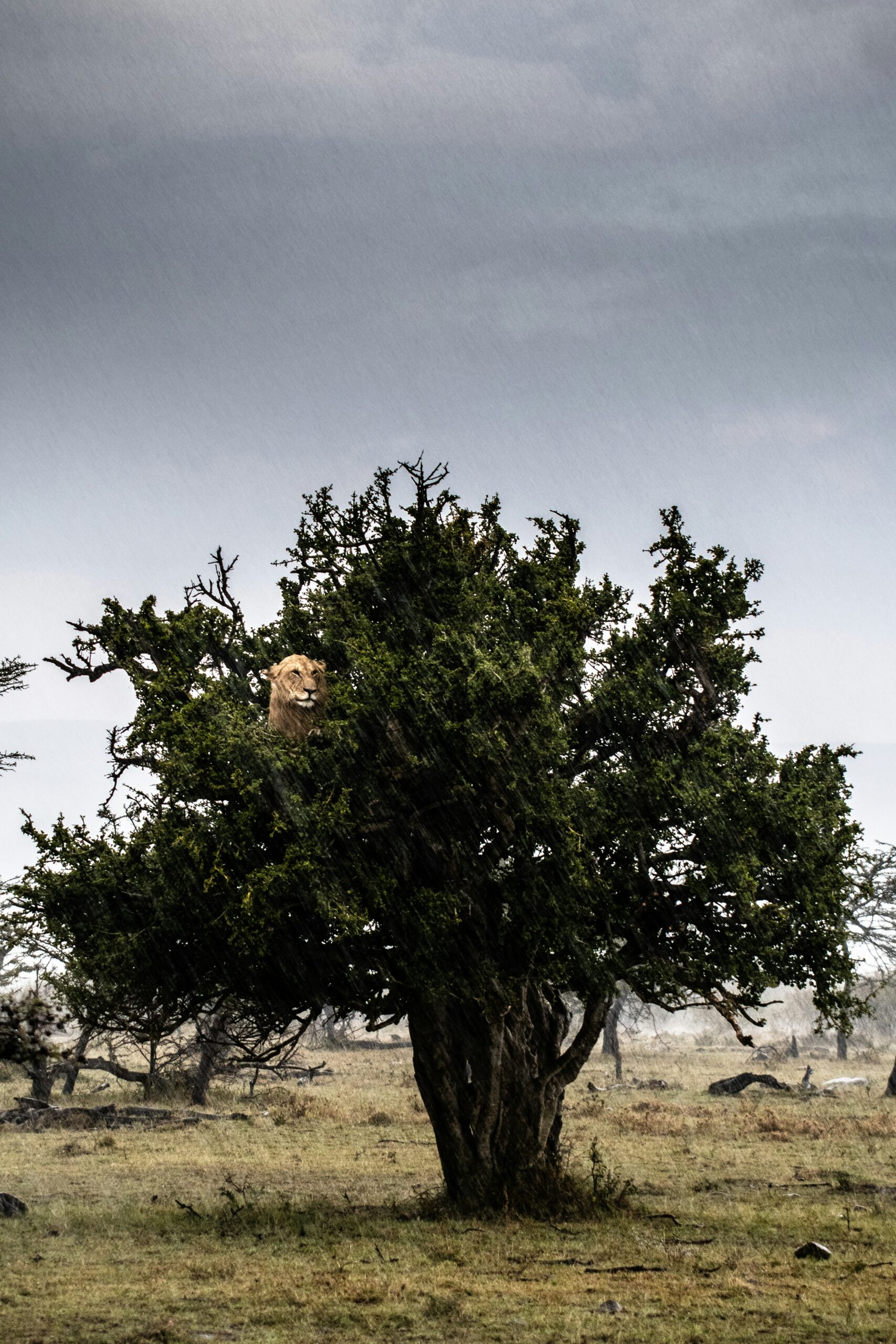 sam-power-SLhxcd_lMn8-unsplash