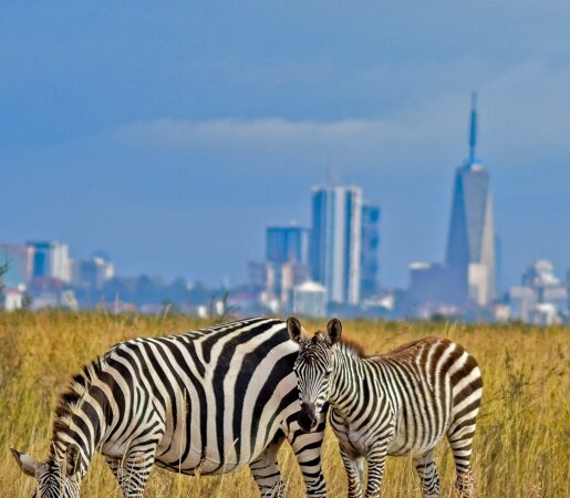 Nairobi National Park